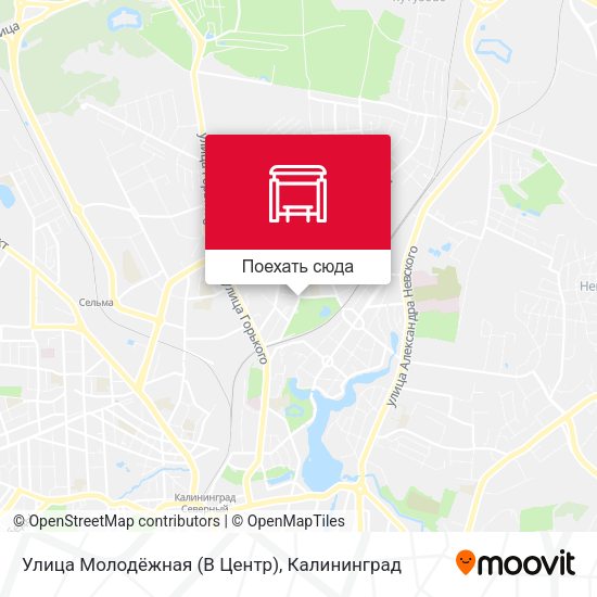 Карта Улица Молодёжная (В Центр)
