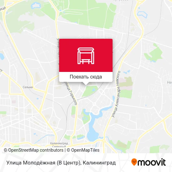 Карта Улица Молодёжная (В Центр)