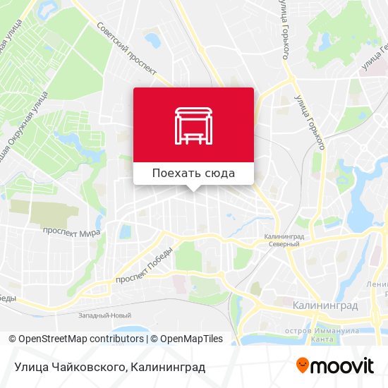 Карта Улица Чайковского