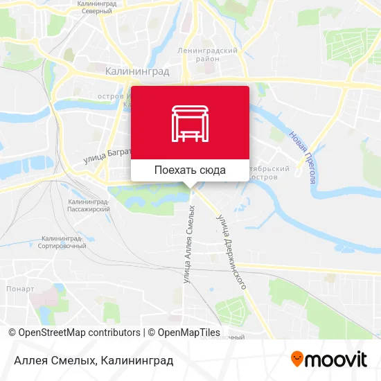 Карта Аллея Смелых