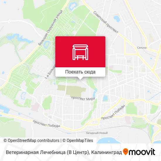 Карта Ветеринарная Лечебница (В Центр)