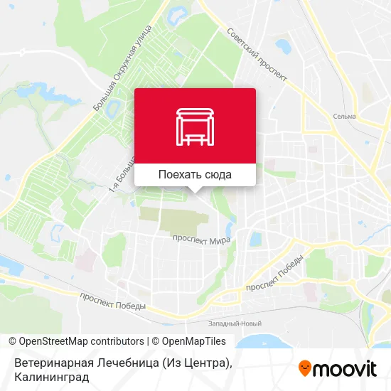 Карта Ветеринарная Лечебница (Из Центра)