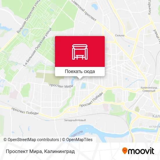 Карта Проспект Мира