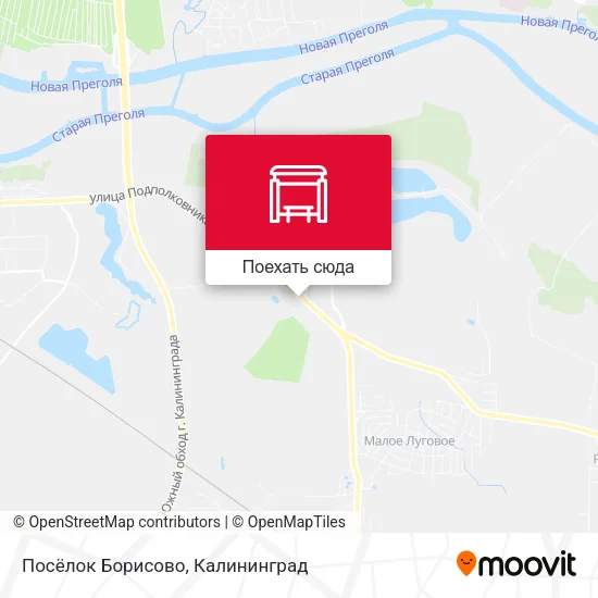 Карта Посёлок Борисово