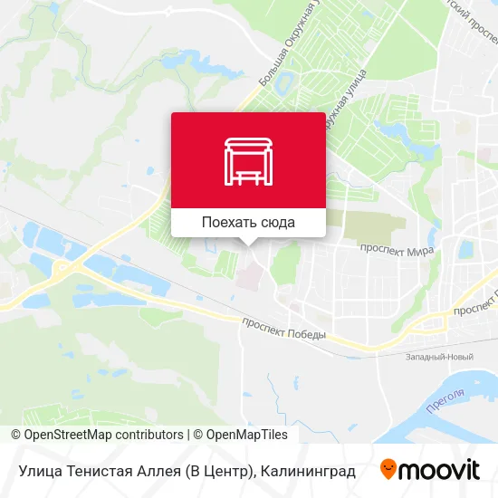Карта Улица Тенистая Аллея (В Центр)