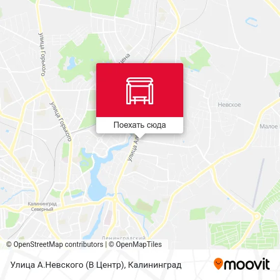 Карта Улица А.Невского (В Центр)
