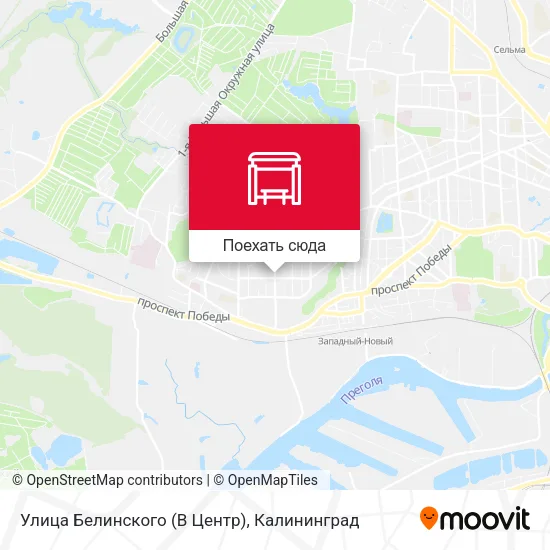 Карта Улица Белинского (В Центр)