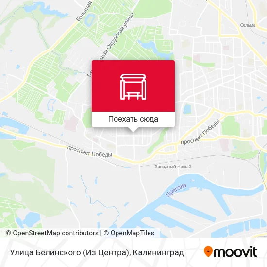 Карта Улица Белинского (Из Центра)