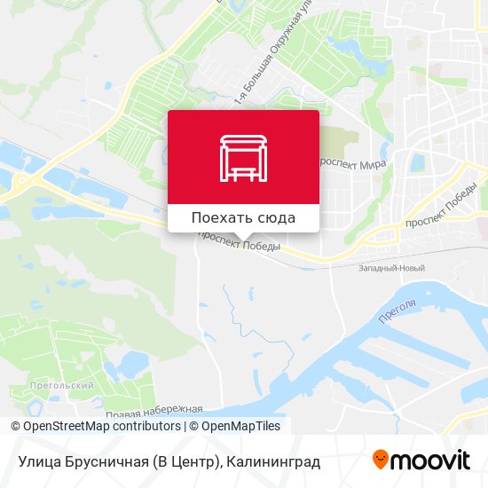 Карта Улица Брусничная (В Центр)