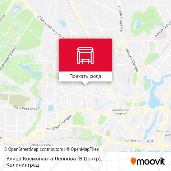 Карта Улица Космонавта Леонова (В Центр)