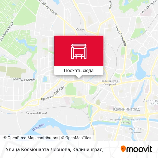 Карта Улица Космонавта Леонова