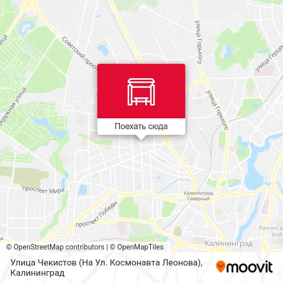 Карта Улица Чекистов (На Ул. Космонавта Леонова)