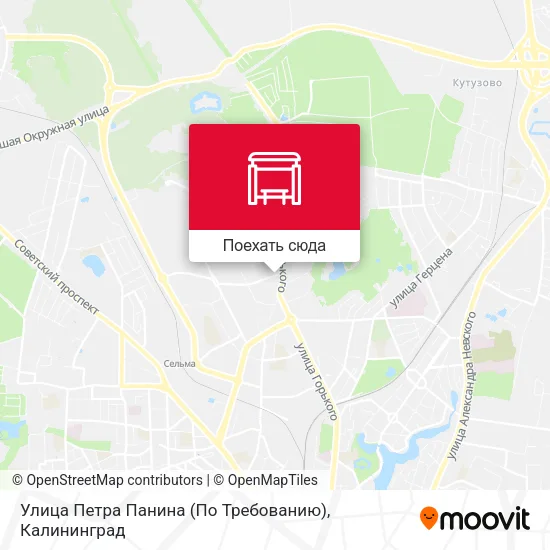 Карта Улица Петра Панина (По Требованию)