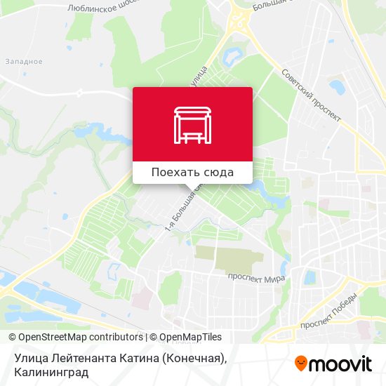 Карта Улица Лейтенанта Катина (Конечная)