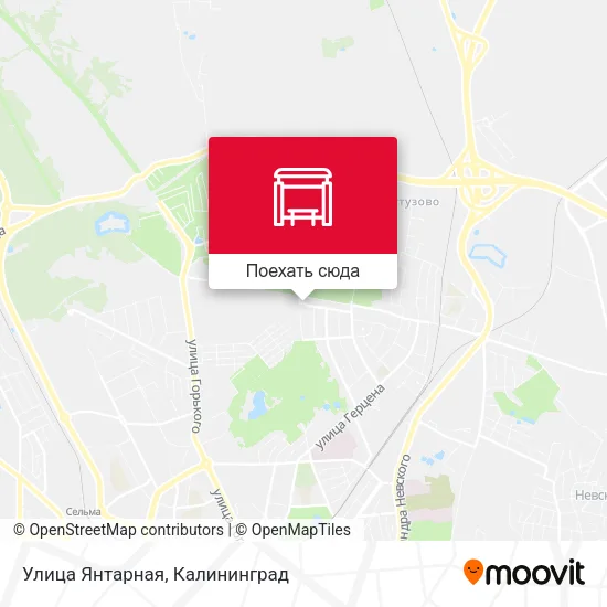 Карта Улица Янтарная