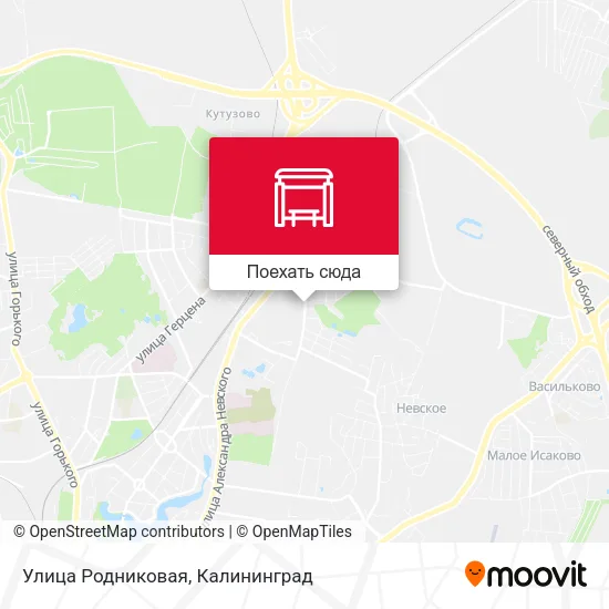Карта Улица Родниковая