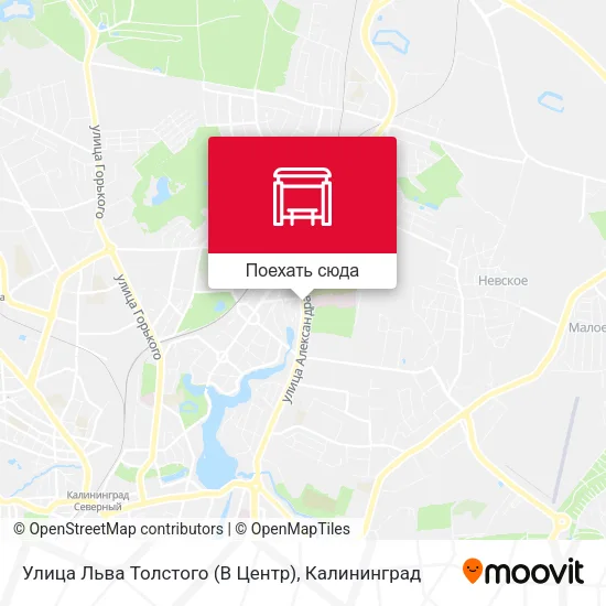 Карта Улица Льва Толстого (В Центр)