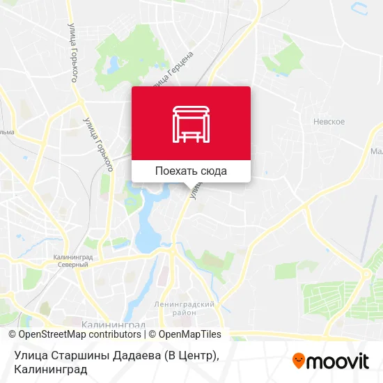 Карта Улица Старшины Дадаева (В Центр)