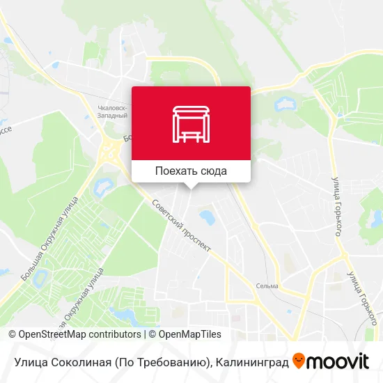 Карта Улица Соколиная (По Требованию)