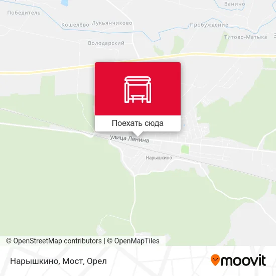 Карта Нарышкино, Мост