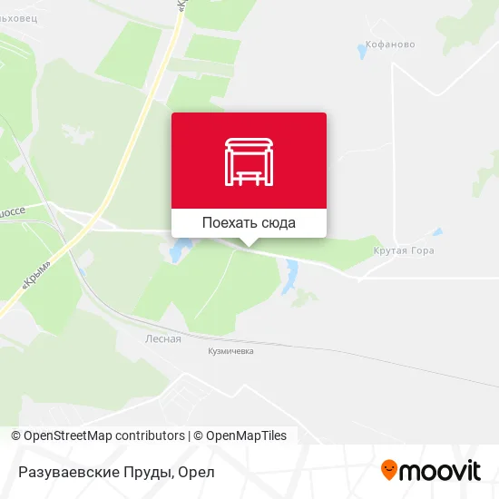 Карта Разуваевские Пруды