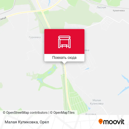 Карта Малая Куликовка
