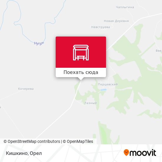 Карта Кишкино