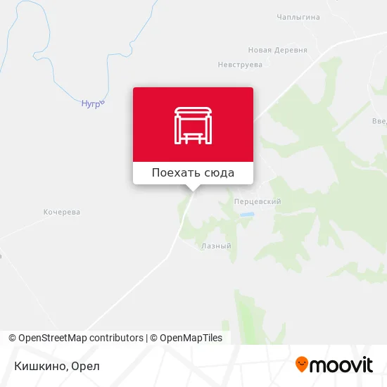 Карта Кишкино