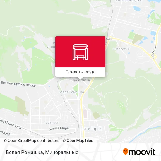 Карта Белая Ромашка