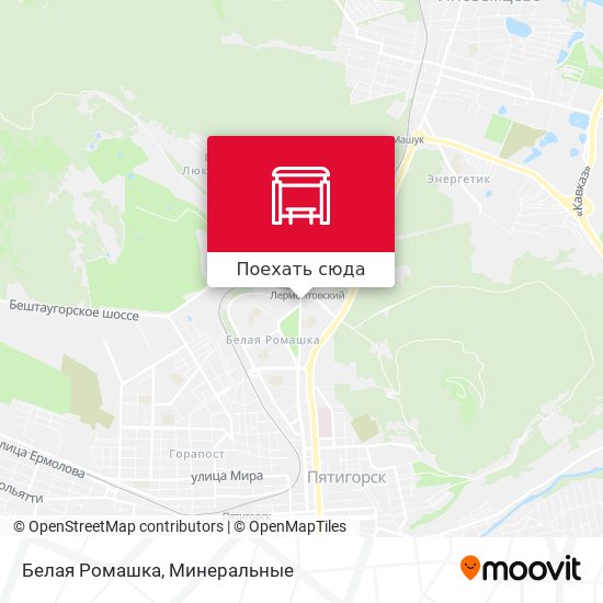 Карта Белая Ромашка