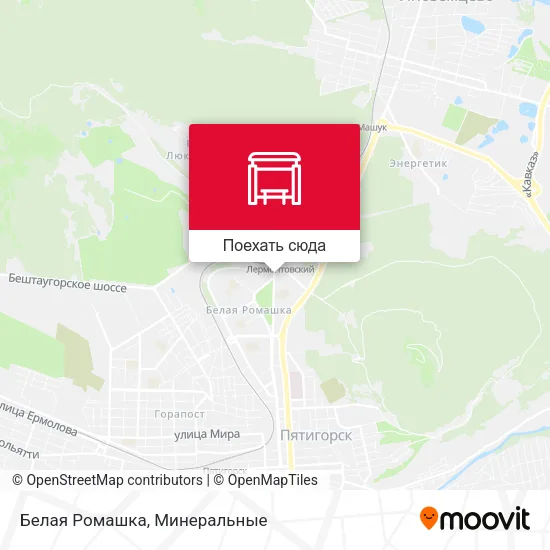 Карта Белая Ромашка