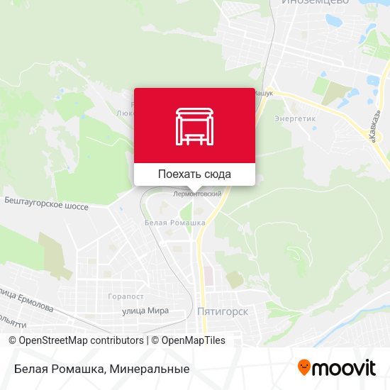 Карта Белая Ромашка