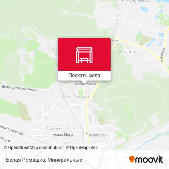 Карта Белая Ромашка