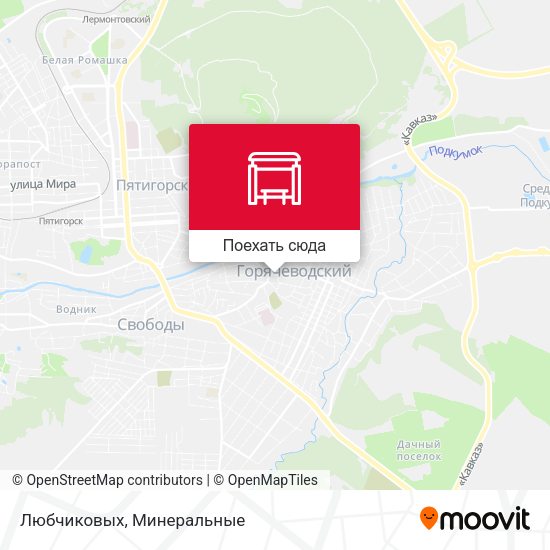 Карта Любчиковых