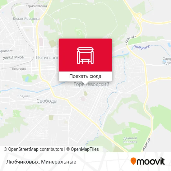 Карта Любчиковых