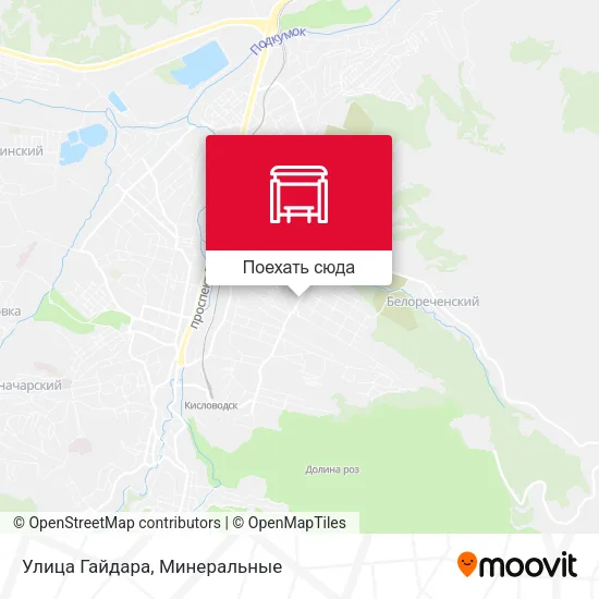 Карта Улица Гайдара