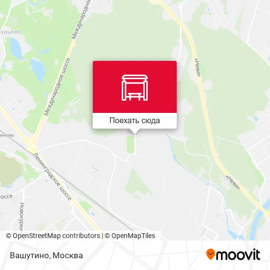 Карта Вашутино