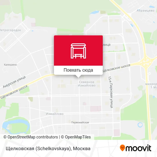 Карта Щелковская (Schelkovskaya)