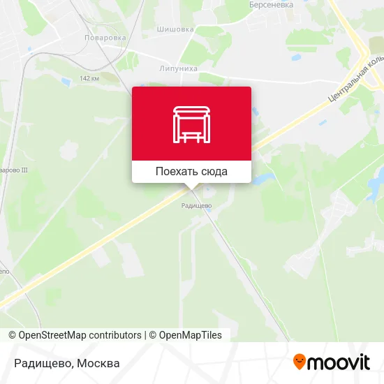 Карта Радищево