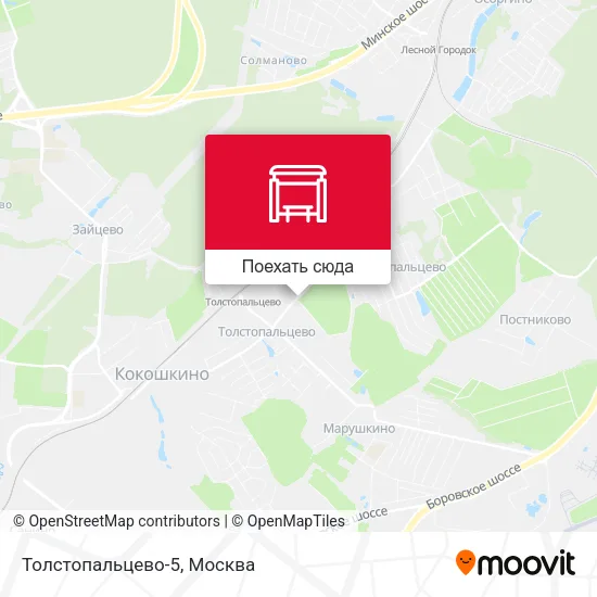 Карта Толстопальцево-5