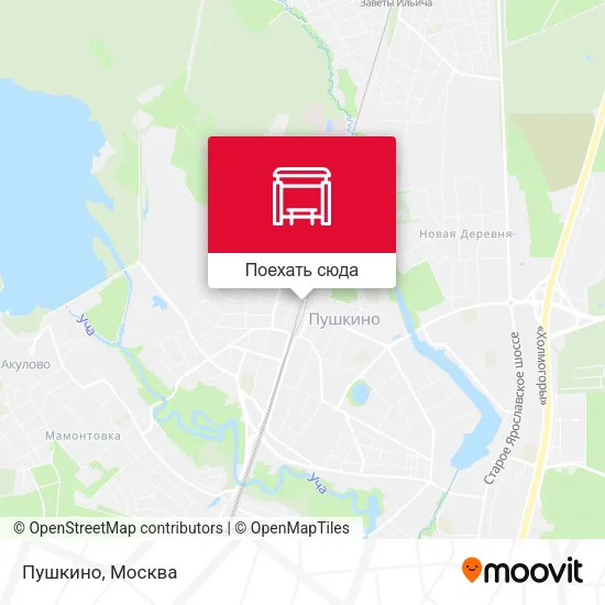 Карта Пушкино