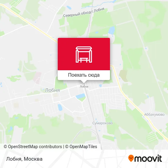 Карта Лобня