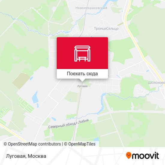 Карта Луговая