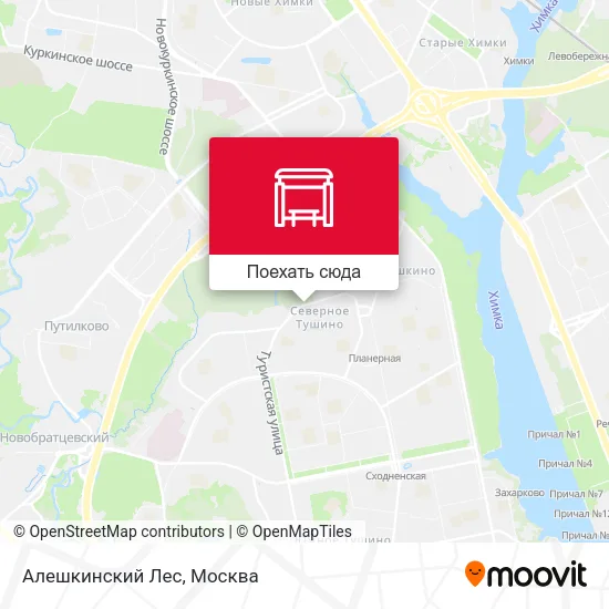 Карта Алешкинский Лес