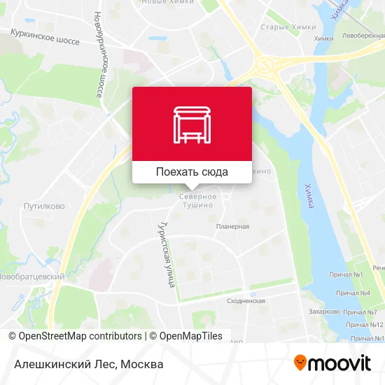 Карта Алешкинский Лес