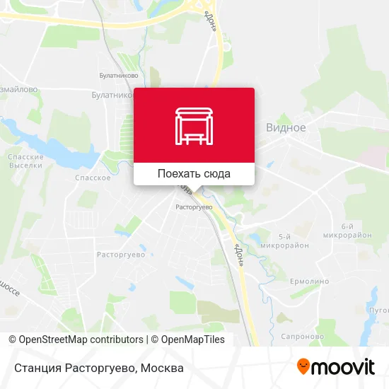 Карта Станция Расторгуево