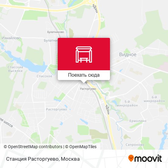 Карта Станция Расторгуево
