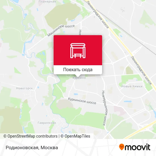 Карта Родионовская