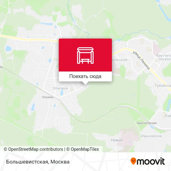 Карта Большевистская