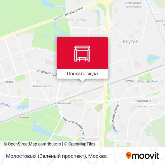 Карта Молостовых (Зелёный проспект)